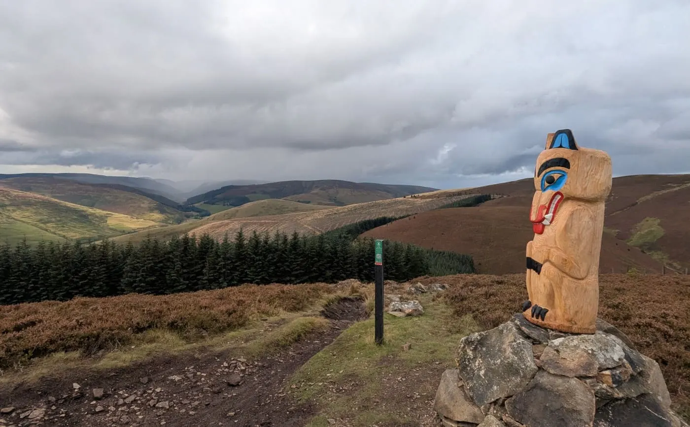 The top of the Golfie MTB